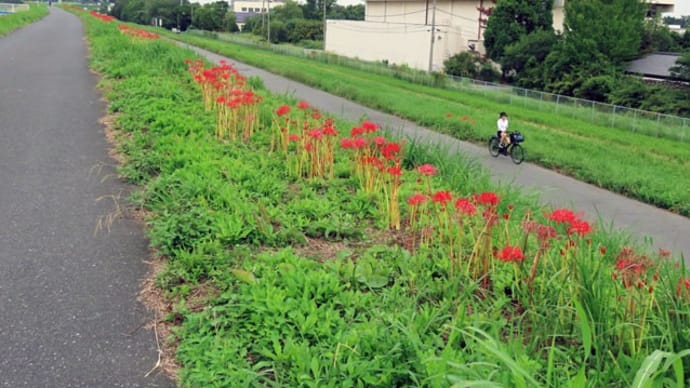 第2調節池の工事は順調に進んでいるようです