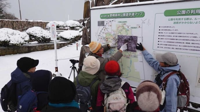 2024年11月19日(火)さっぽろ自然散歩「野幌森林公園記念塔連絡線」