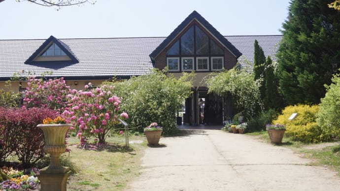 「松阪農業公園ベルファームのお花畑」見てきました~(^^)