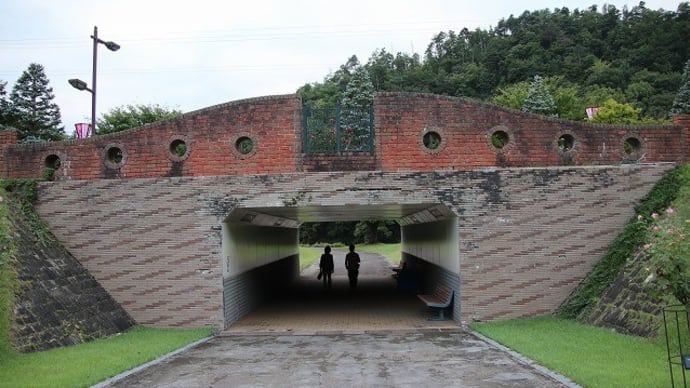 東沢バラ公園 3