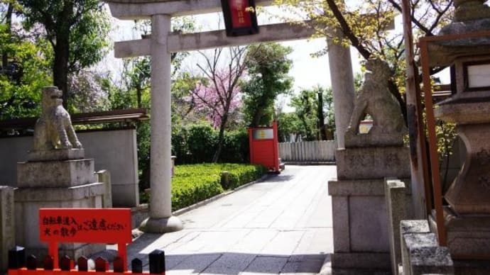 2024年 4月 1日(月)の京都市内(17)