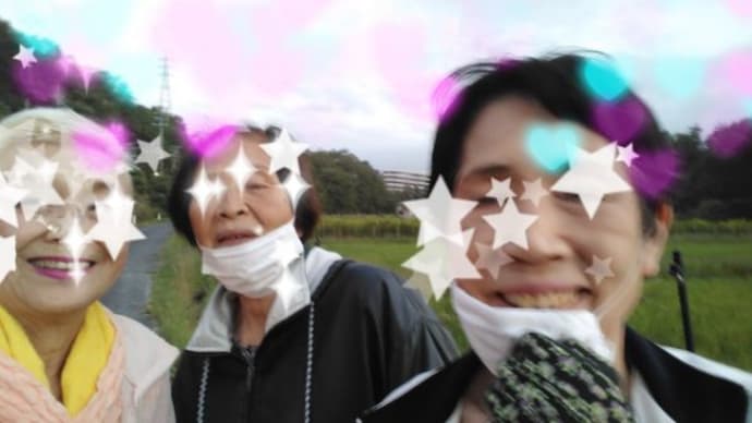 ♪ み~んな、眼をつむって変顔してるので、夕方の散歩姿にキラ盛りいたしましたぁ!