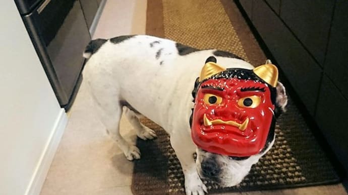 11歳のお誕生日
