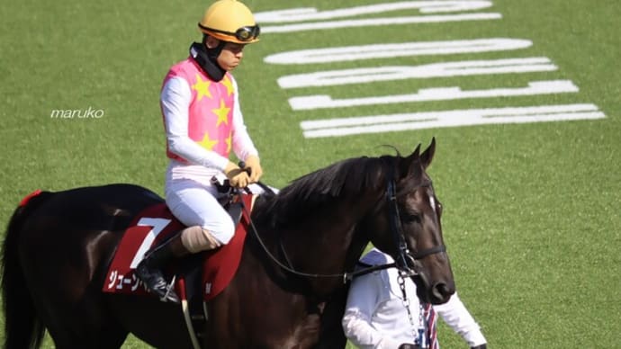 秋競馬2024-15
