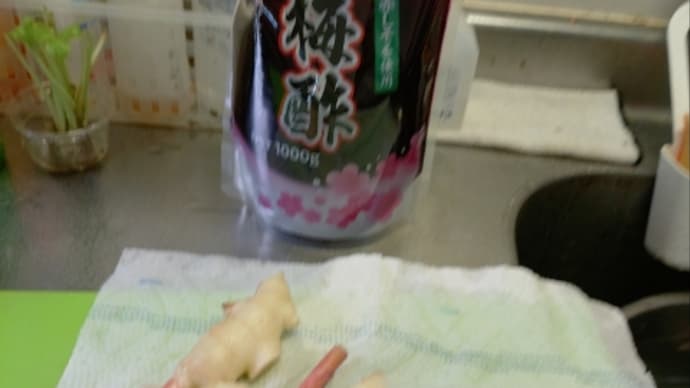 紅生姜作り