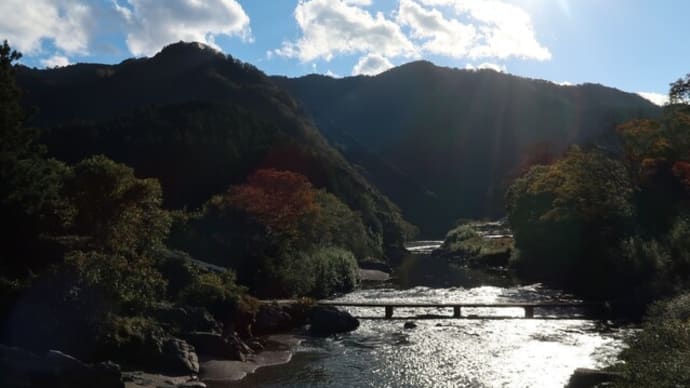 川辺の紅葉