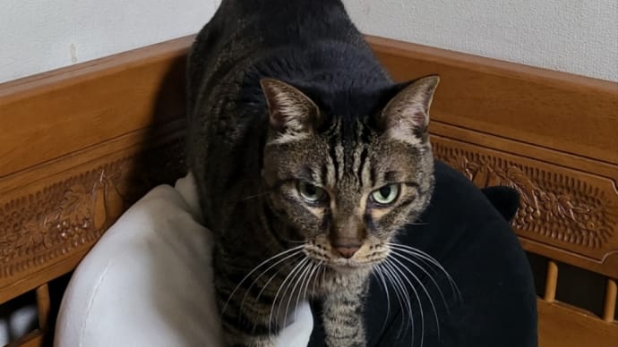 あっという間の九日間