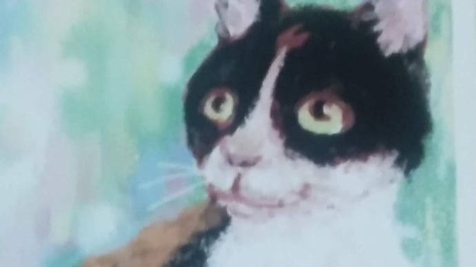 うちのこ ねこのこ