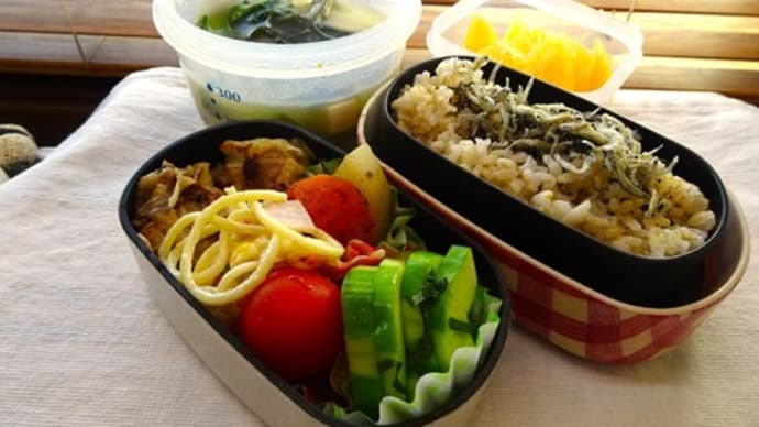 シュウマイのお弁当と、日光戦場ヶ原ハイキング