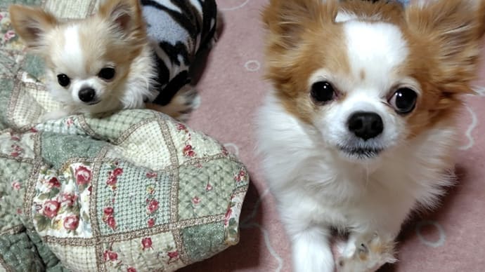 人付き合いは、難しい