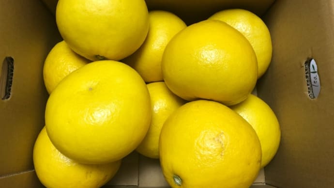 旬の農産物