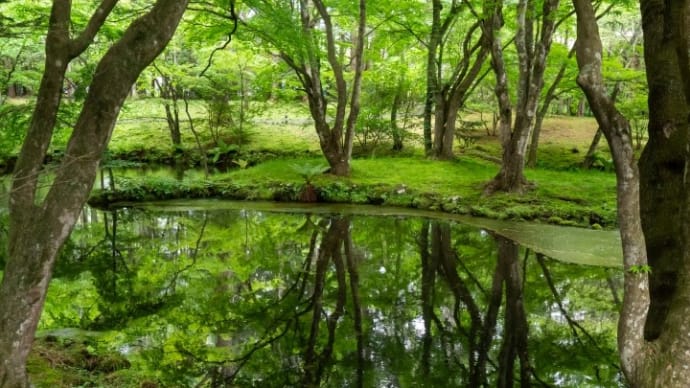 緑の時*軽井沢・雲場池