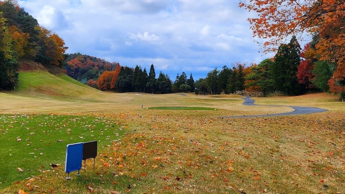 GOLF 2024.12.4