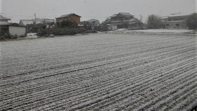雪 & ドイツ・ヴィースバーデンのクリスマスマーケット