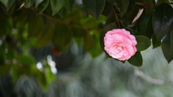 大学淘汰の時代、ついに到来