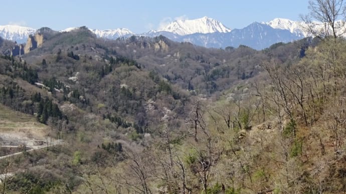 春景色 2022 (4) 山道の途中からの陸郷方面
