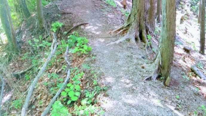 御林山