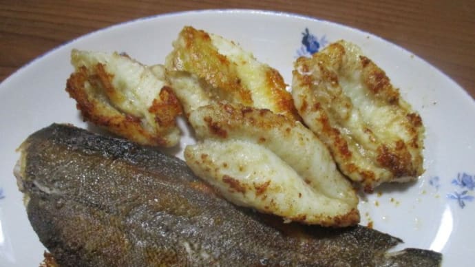 アジが大きくなってきたな、