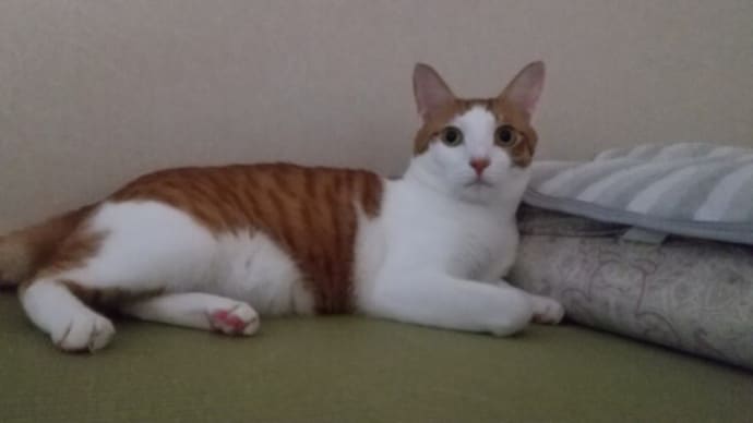 真冬なの?そうなんだね??