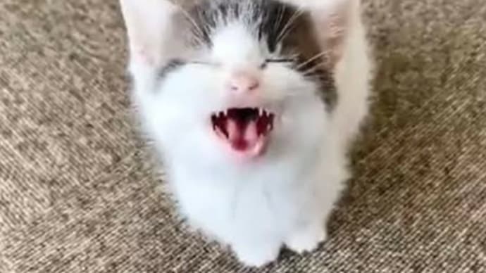 ただいま😃🏠✨