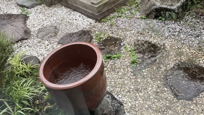 雨!!!