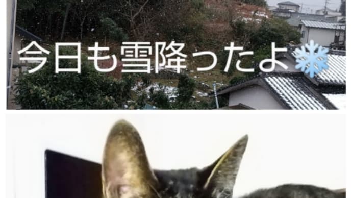 雪だよ❗️ 土曜日Aクラス(1月後半) ① 低学年組