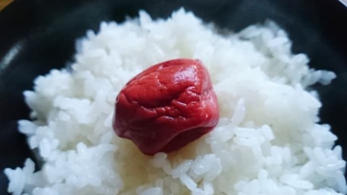 食糧自給率向上は皆がお米を食べること（食糧危機回避にもなる！）