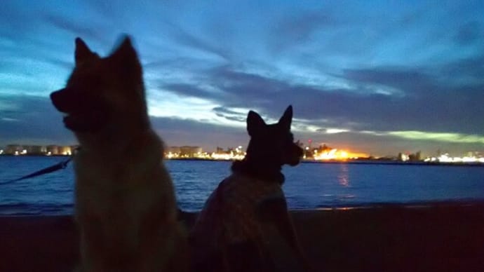 潮風と　アートに浸る　夕散歩