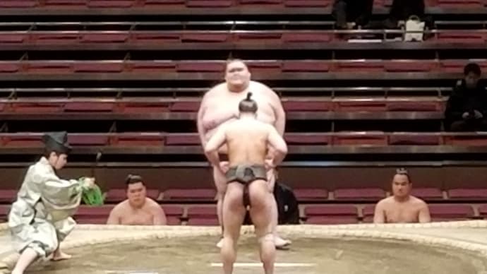 みーたん、とりあえず、おめでとうございます。