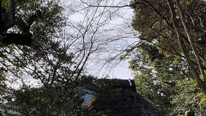 【ミシュラン評価の「幽玄」装置・臥龍山荘⑦ 四国住空間探訪-25】