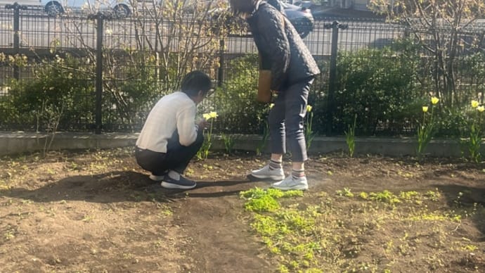 木綿の日常⭐️