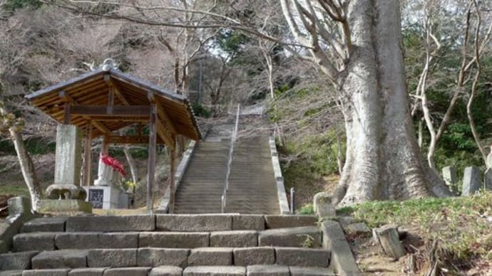 大田山 金龍寺