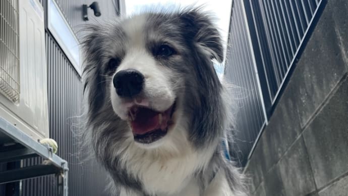 らむちゃん　16才8ヶ月バースデー🤗