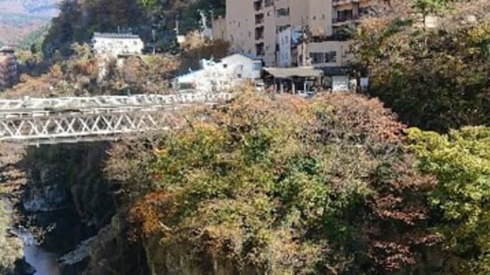 ブログ211106 鬼怒川温泉家族旅行~二日目 鬼怒川プラザホテル