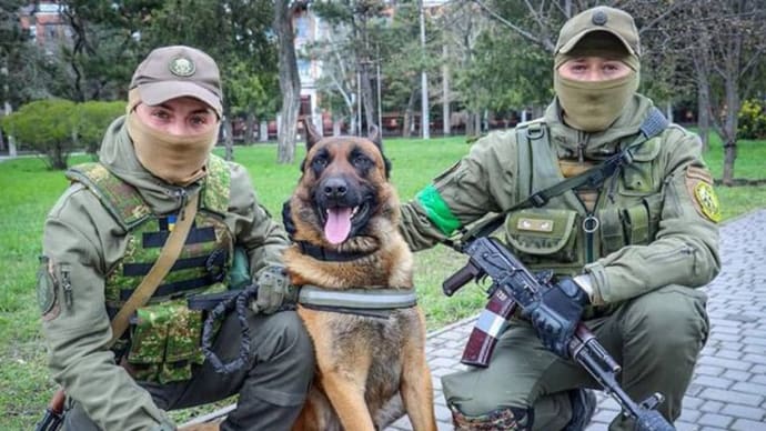 軍用犬にも逃げられた露軍