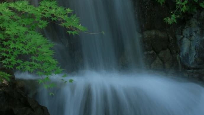 休日の公園にて