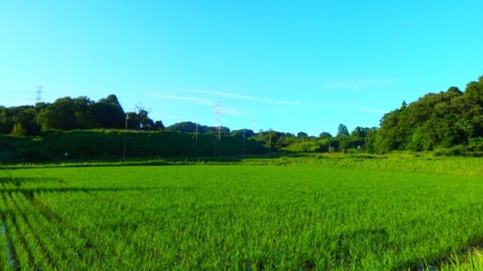 夕刻の里山