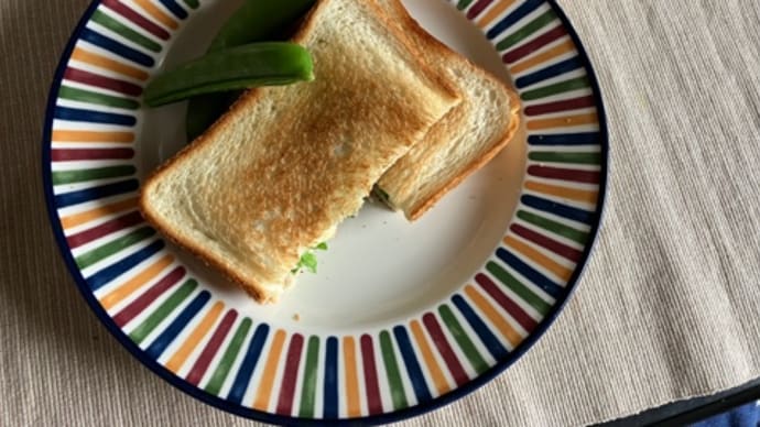 逆行性食道炎から