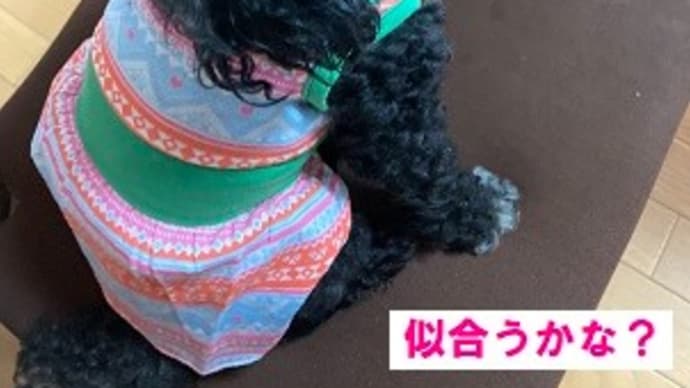 気にしない気にしない!