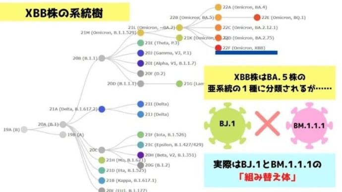 オミクロン株の亜系統が次々に到来