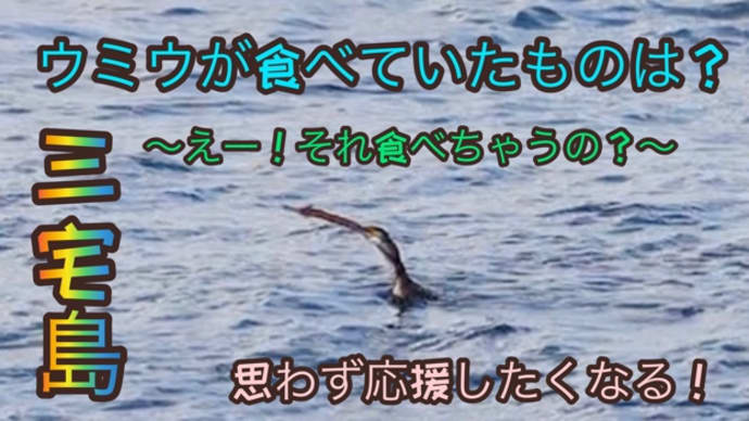 えー?!それ食べちゃうの?