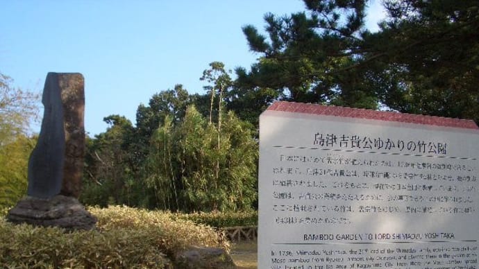 去年の同じ頃のこと