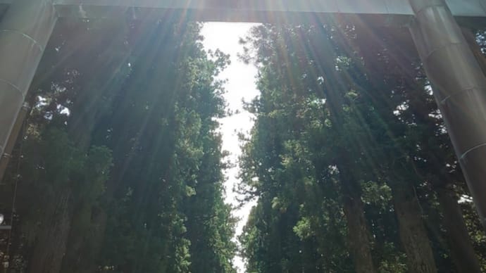 北口本宮徒然