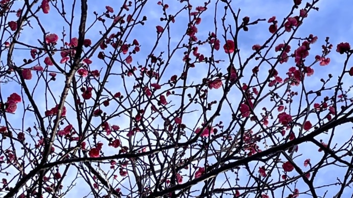 あっという間の年末年始
