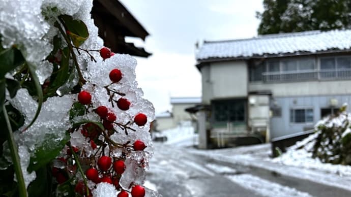 今年はダメ!