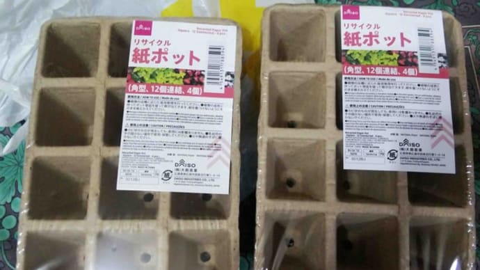 神ポットならぬ紙ポット