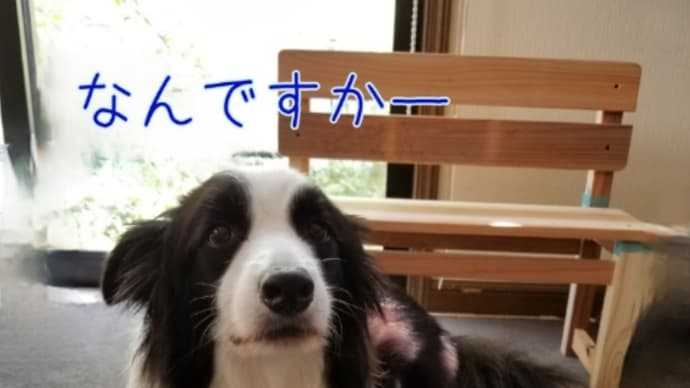 徳島のすだちです