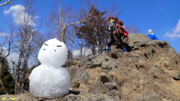 【登山】雲取山~避密 平将門迷走ルート~