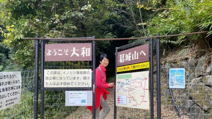 久しぶりの葛城山