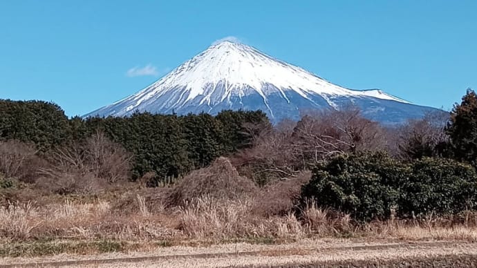 体調管理を徹底して